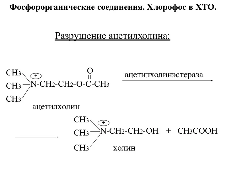 Фосфорорганические соединения. Хлорофос в ХТО. Разрушение ацетилхолина: CH3 CH3 CH3 N-CH2-CH2-O-C-CH3