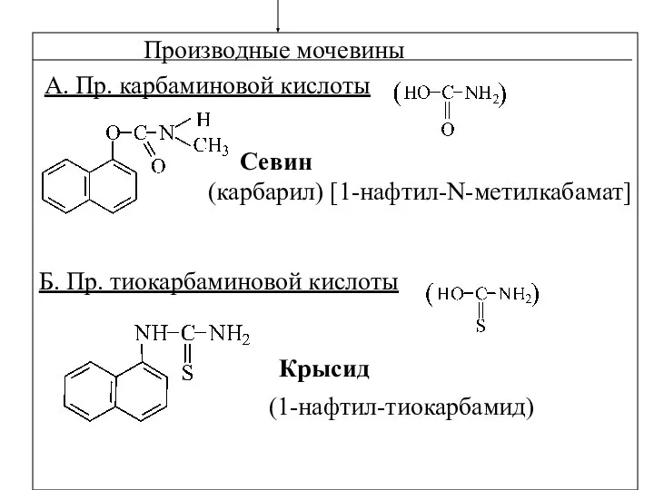 Производные мочевины А. Пр. карбаминовой кислоты Севин (карбарил) [1-нафтил-N-метилкабамат] Б. Пр. тиокарбаминовой кислоты Крысид (1-нафтил-тиокарбамид)