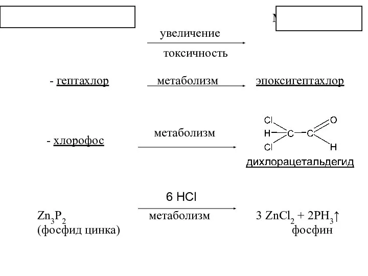 Нативные соединения Метаболиты увеличение токсичность - гептахлор эпоксигептахлор метаболизм - хлорофос