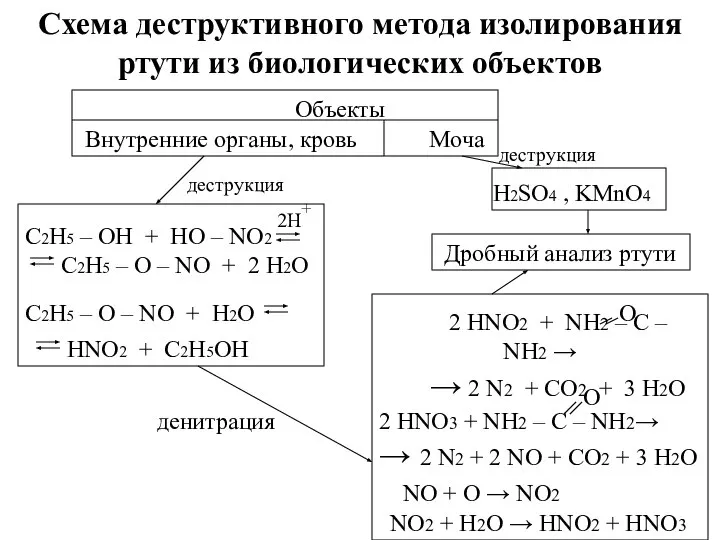 Схема деструктивного метода изолирования ртути из биологических объектов Объекты Внутренние органы,