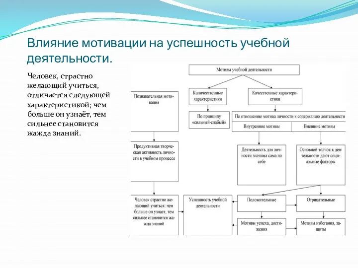 Влияние мотивации на успешность учебной деятельности. Человек, страстно желающий учиться, отличается