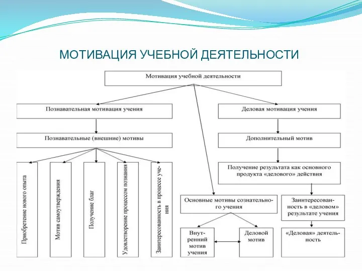 МОТИВАЦИЯ УЧЕБНОЙ ДЕЯТЕЛЬНОСТИ