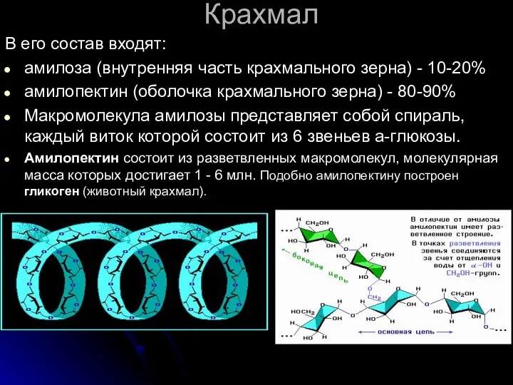 Крахмал В его состав входят: амилоза (внутренняя часть крахмального зерна) -