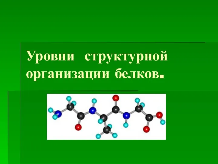 Уровни структурной организации белков.