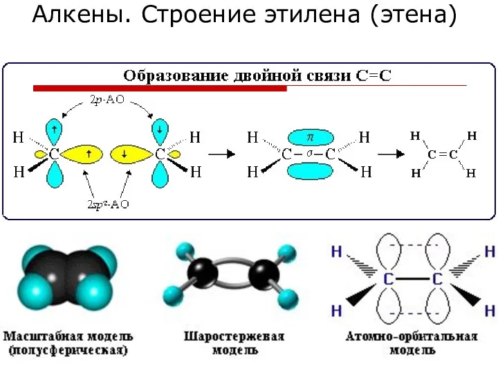 Алкены. Строение этилена (этена)