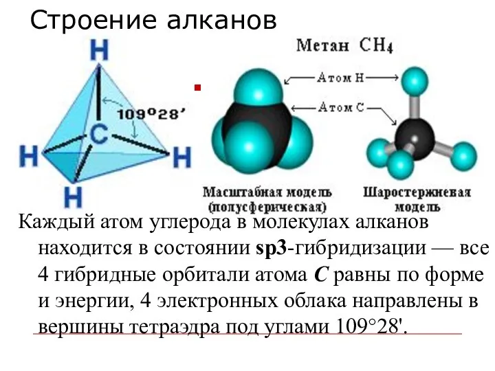 Строение алканов Каждый атом углерода в молекулах алканов находится в состоянии