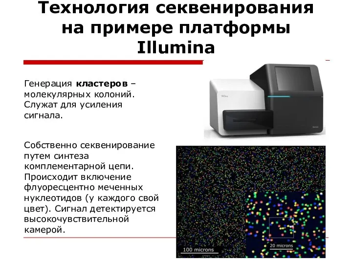 Технология секвенирования на примере платформы Illumina Генерация кластеров – молекулярных колоний.