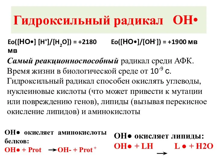 Гидроксильный радикал Самый реакционноспособный радикал среди АФК. Время жизни в биологической