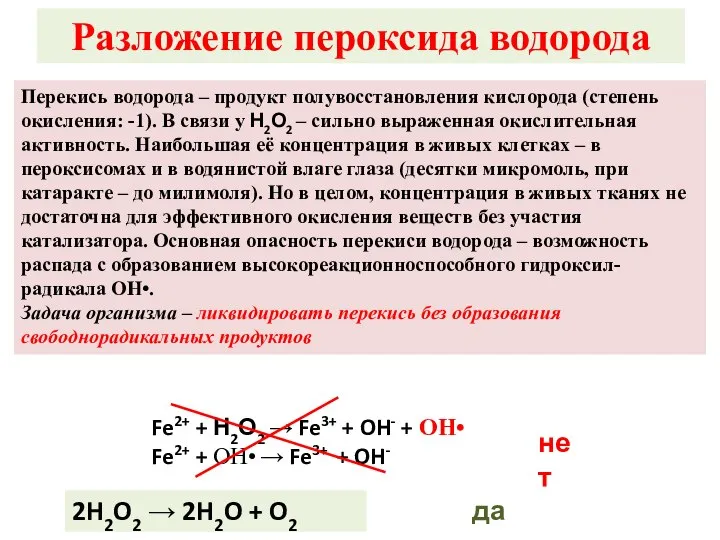 Разложение пероксида водорода Перекись водорода – продукт полувосстановления кислорода (степень окисления: