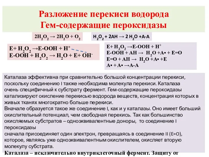 Разложение перекиси водорода Гем-содержащие пероксидазы Каталаза эффективна при сравнительно большой концентрации