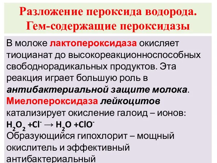 Разложение пероксида водорода. Гем-содержащие пероксидазы В молоке лактопероксидаза окисляет тиоцианат до