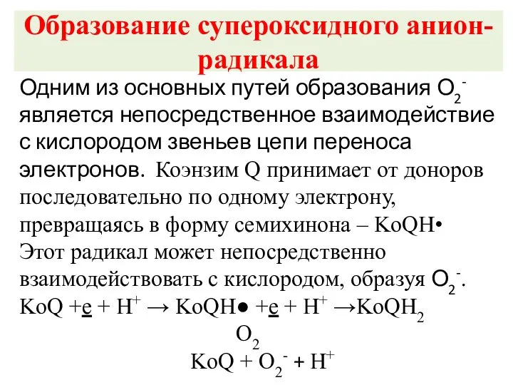 Образование супероксидного анион-радикала Одним из основных путей образования О2- является непосредственное