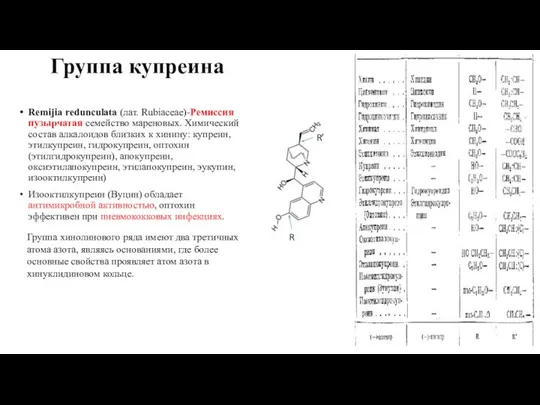 Группа купреина Remijia redunculata (лат. Rubiaceae)-Ремиссия пузырчатая семейство мареновых. Химический состав