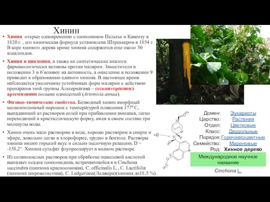 Хинин Хинин открыт одновременно с цинхонином Пельтье и Кавенту в 1820