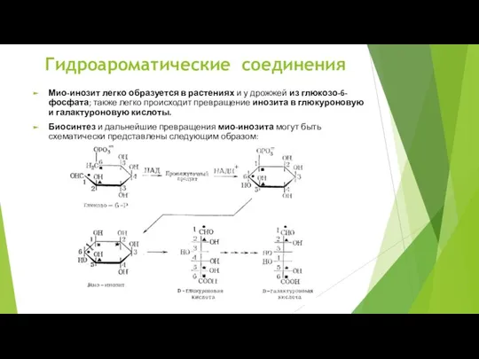 Мио-инозит легко образуется в растениях и у дрожжей из глюкозо-6-фосфата; также