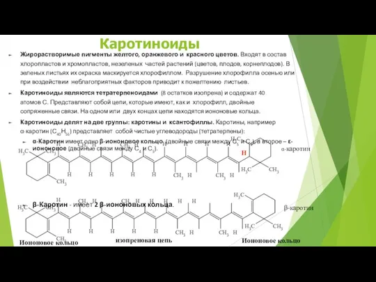 Жирорастворимые пигменты желтого, оранжевого и красного цветов. Входят в состав хлоропластов