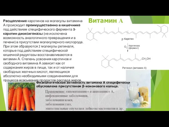 Расщепление каротинов на молекулы витамина А происходит преимущественно в кишечнике под