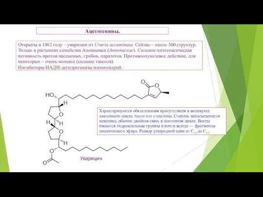 Ацетогенины. Открыты в 1982 году – уварицин из Uvaria accuminata. Сейчас