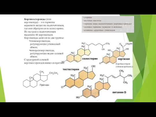 Кортикостероиды (или кортикоиды) – это гормоны коркового вещества надпочечников, где они