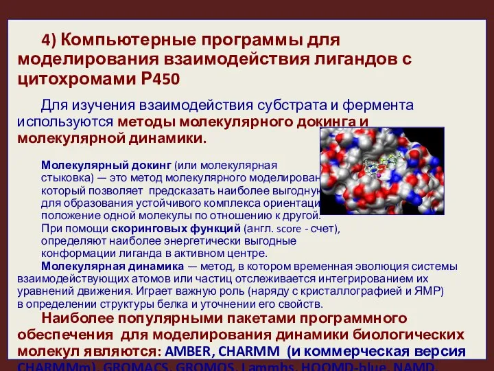 4) Компьютерные программы для моделирования взаимодействия лигандов с цитохромами Р450 Для