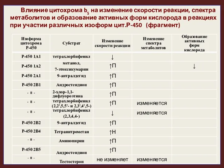 Влияние цитохрома b5 на изменение скорости реакции, спектра метаболитов и образование