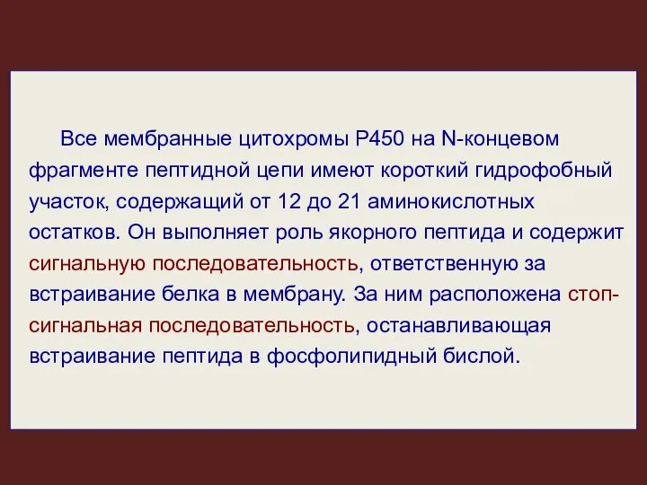 Все мембранные цитохромы Р450 на N-концевом фрагменте пептидной цепи имеют короткий