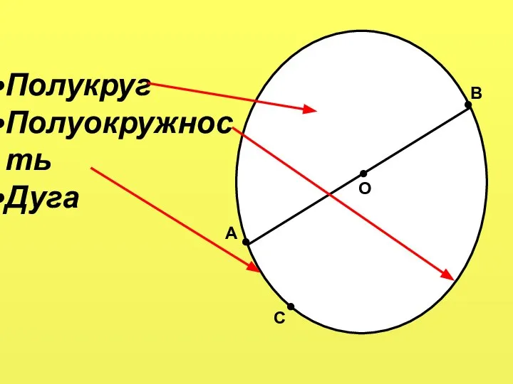 ● Полукруг Полуокружность Дуга ● ● О ● А В С