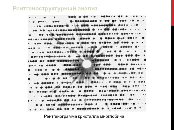 Рентгенограмма кристалла миоглобина Рентгеноструктурный анализ