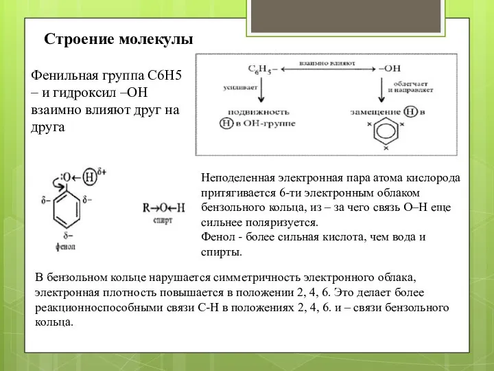 Строение молекулы Фенильная группа C6H5 – и гидроксил –ОН взаимно влияют