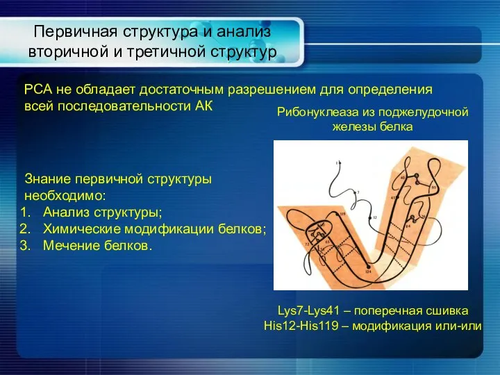 Первичная структура и анализ вторичной и третичной структур РСА не обладает