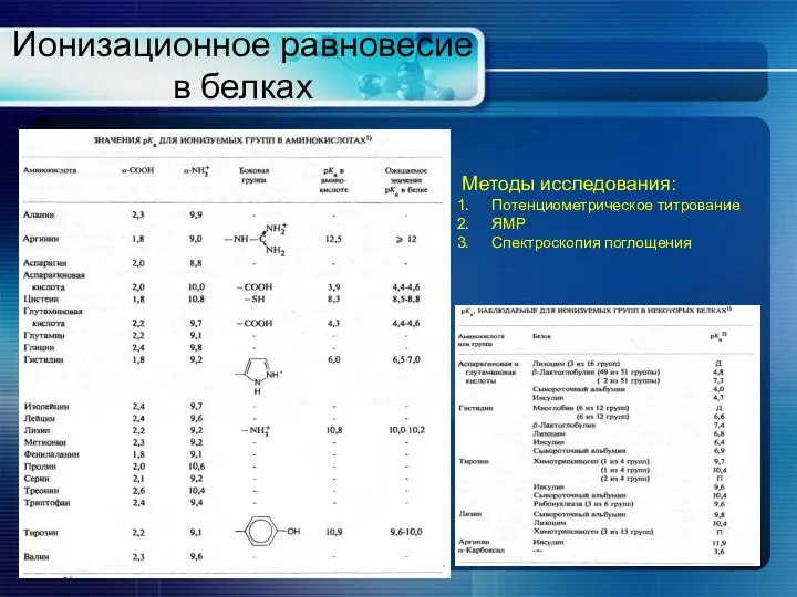 Ионизационное равновесие в белках Методы исследования: Потенциометрическое титрование ЯМР Спектроскопия поглощения