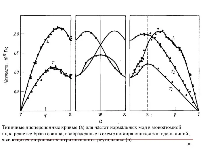 Типичные дисперсионные кривые (а) для частот нормальных мод в моноатомной г.ц.к.