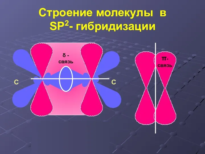 Строение молекулы в SP2- гибридизации δ -связь π-связь С С С