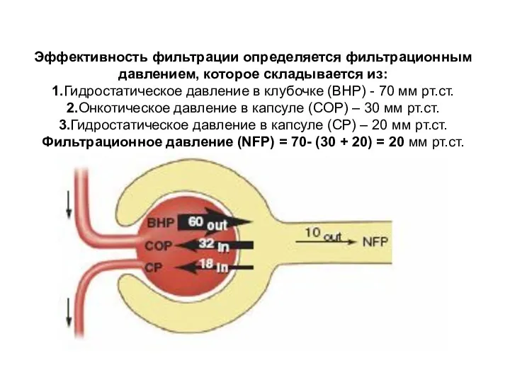 Эффективность фильтрации определяется фильтрационным давлением, которое складывается из: 1.Гидростатическое давление в