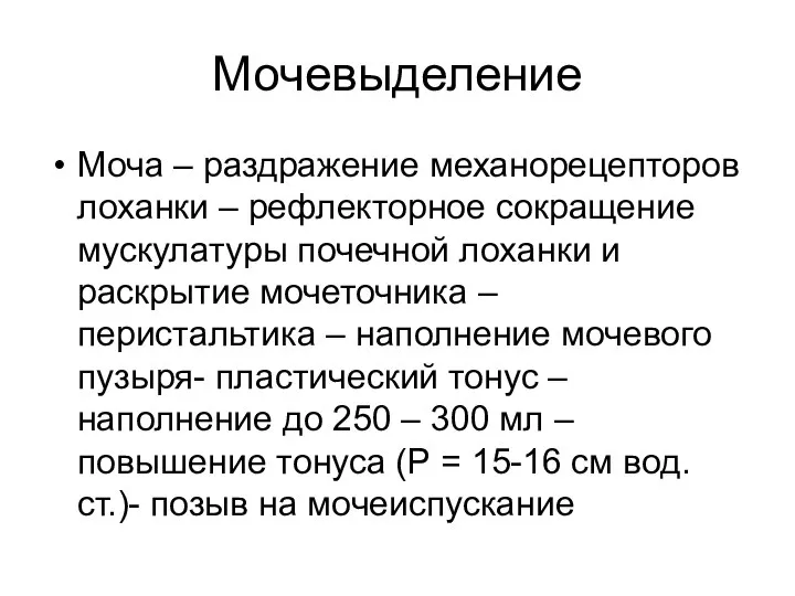 Мочевыделение Моча – раздражение механорецепторов лоханки – рефлекторное сокращение мускулатуры почечной