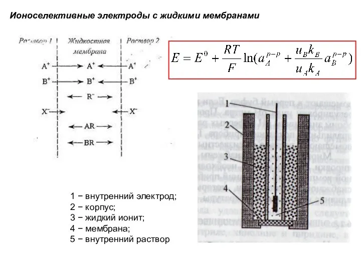 Ионоселективные электроды с жидкими мембранами 1 − внутренний электрод; 2 −