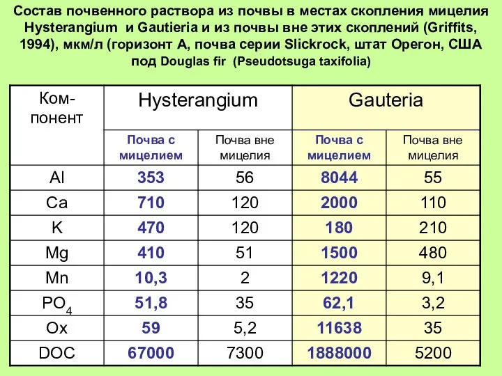 Состав почвенного раствора из почвы в местах скопления мицелия Hysterangium и