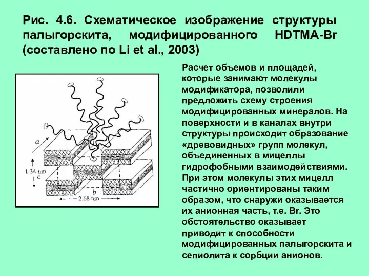 Рис. 4.6. Схематическое изображение структуры палыгорскита, модифицированного HDTMA-Br (составлено по Li