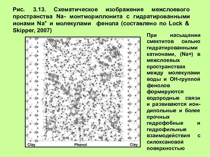 Рис. 3.13. Схематическое изображение межслоевого пространства Na- монтмориллонита с гидратированными ионами