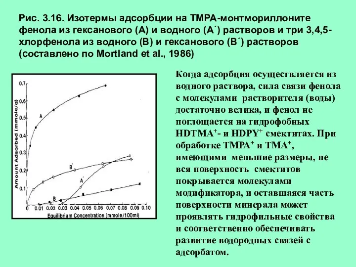 Рис. 3.16. Изотермы адсорбции на ТМРА-монтмориллоните фенола из гексанового (А) и