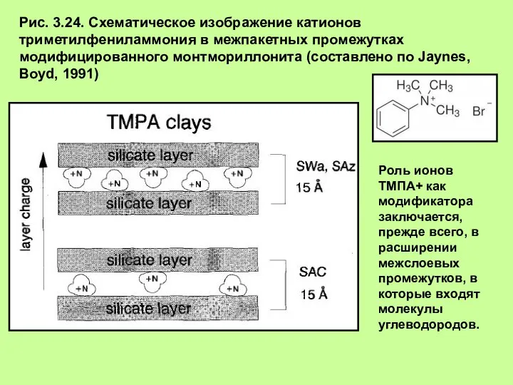 Рис. 3.24. Схематическое изображение катионов триметилфениламмония в межпакетных промежутках модифицированного монтмориллонита