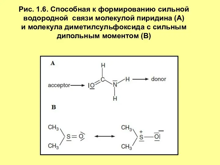 Рис. 1.6. Способная к формированию сильной водородной связи молекулой пиридина (А)