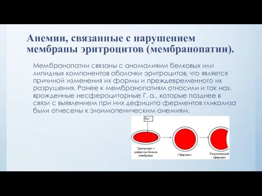 Анемии, связанные с нарушением мембраны эритроцитов (мембранопатии). Мембранопатии связаны с аномалиями