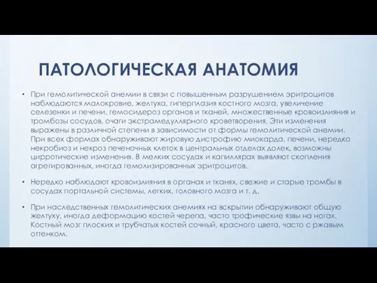 ПАТОЛОГИЧЕСКАЯ АНАТОМИЯ При гемолитической анемии в связи с повышенным разрушением эритроцитов