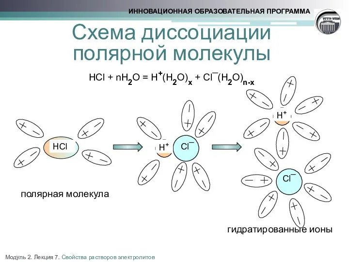 Схема диссоциации полярной молекулы HCl + nH2O = H+(H2O)x + Cl¯(H2O)n-x