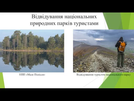 Відвідування національних природних парків туристами НПП «Мале Полісся» Відвідуввання туристом національного парку