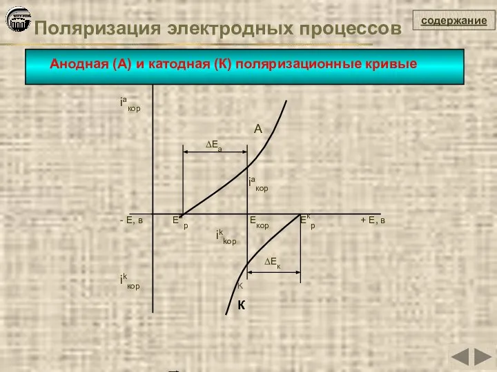 содержание Анодная (А) и катодная (К) поляризационные кривые К Поляризация электродных процессов