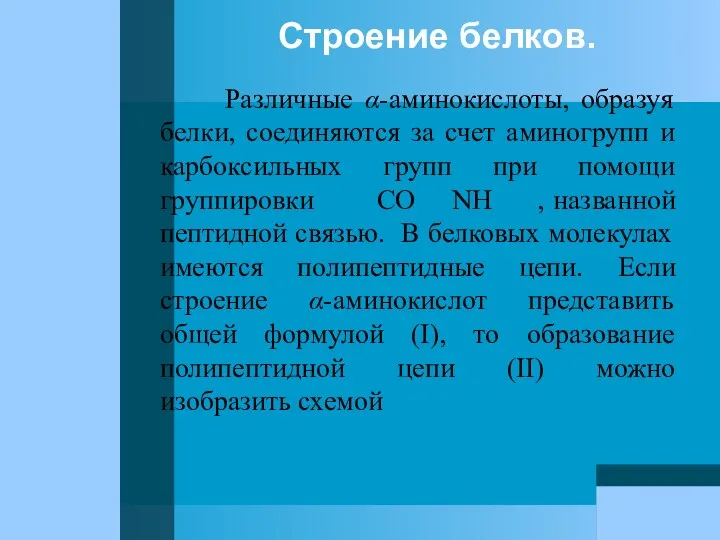 Строение белков. Различные α-аминокислоты, образуя белки, соединяются за счет аминогрупп и