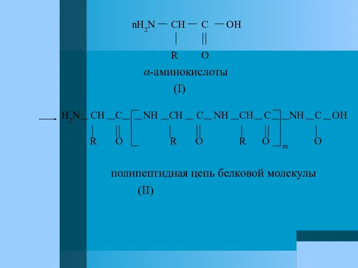 nH2N CH C OH R O α-аминокислоты (I) H2N CH C