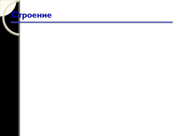 Строение